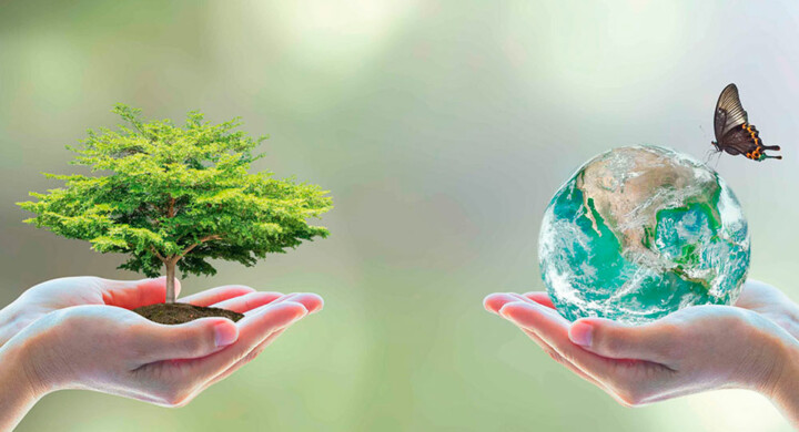 Specializzazione in economia verde sostenibile
